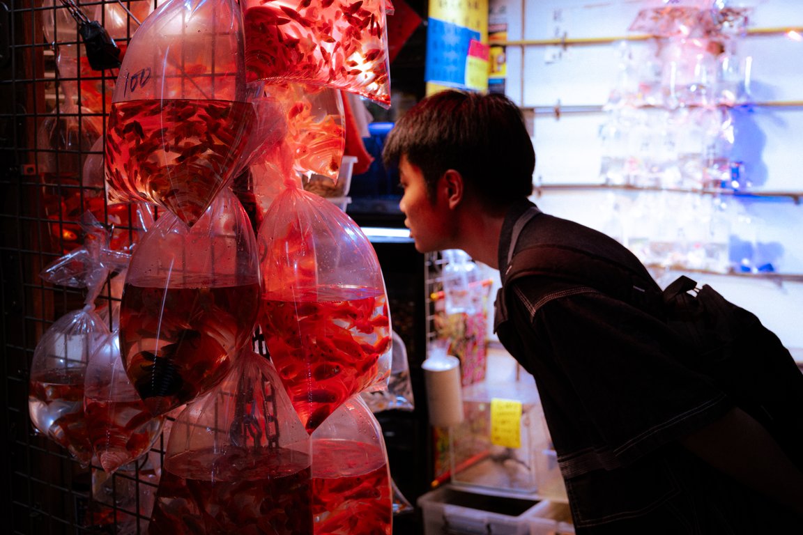 Hong Kong: A Photo Essay