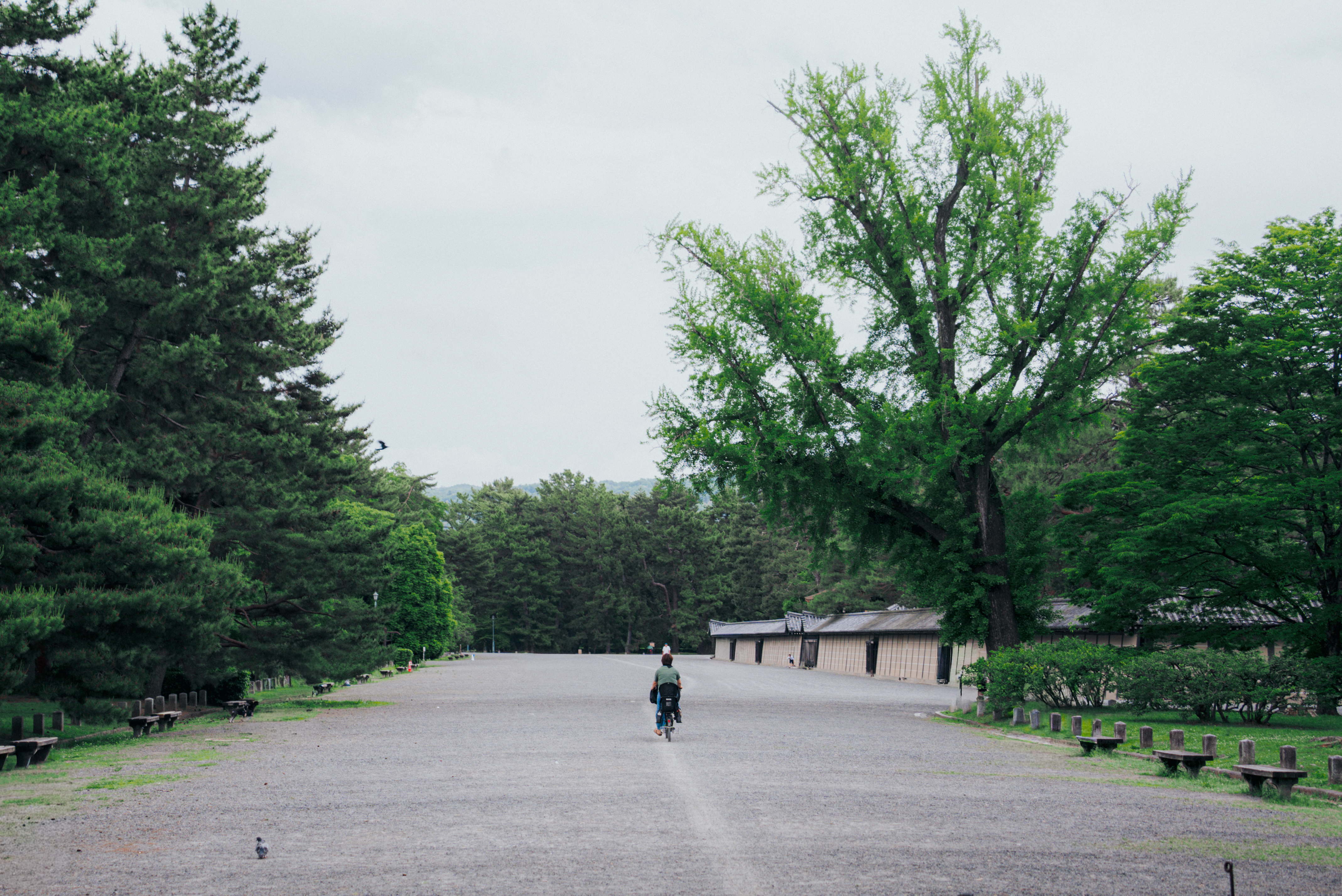 Japan: A Photo Essay, Part 1